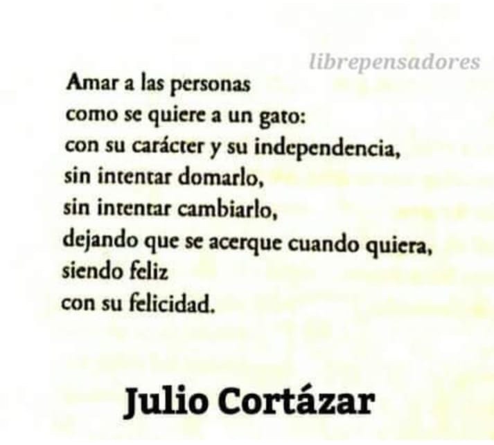Como se quiere a un gato